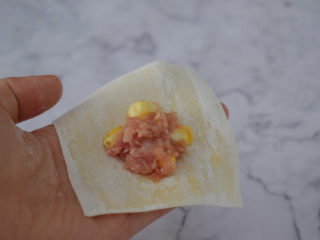 5、鲜肉小馄饨,取一张馄饨皮，中间放入馅料