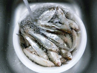 2、香炸小河鱼,用冷水反复冲洗，将鱼鳞去掉。