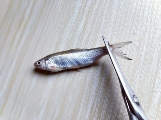 3、香炸小河鱼,将小河鱼的尾巴，鱼鳃剪掉。