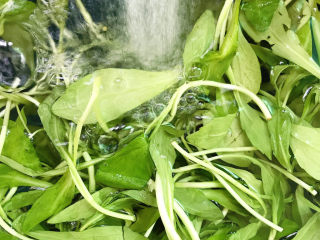 2、马兰头拌香干,冲洗干净