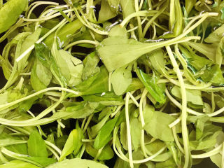 3、马兰头拌香干,浸泡一会儿