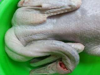 1、广东菜豉油鹅,先洗干净放干