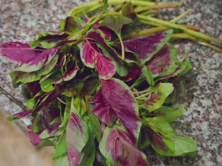 1、清炒苋菜,准备苋菜