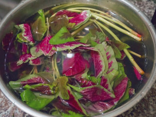 2、清炒苋菜,先放在水里泡洗半小时