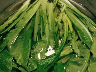 3、麻酱油麦菜,用纯净水泡10分钟 捞出控干水分