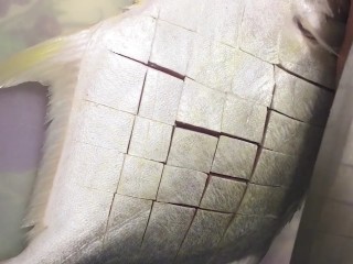 1、啤酒鱼,准备一条新鲜的鱼去除内脏改上花刀