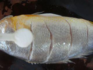 4、清蒸黄鱼,把盐均匀的抹上