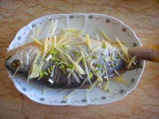 7、清蒸黄鱼,再把黄鱼加入鱼身上加入生姜丝