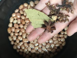 3、快手小凉菜~芹香花生米,2.把花生米放入电饭煲中，加入没过花生米两个手指肚的水，加入所有的大料。