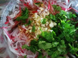 11、香菜萝卜丝,香菜沫 辣椒面也加进去