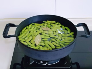 7、香辣毛豆,上煤气大火烧开，转中火煮10分钟。(不要盖盖子，这样煮出来的毛豆颜色更好看)