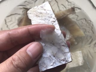 5、白鲞烧鸡爪,泡软后用手取下鳞片，要小心