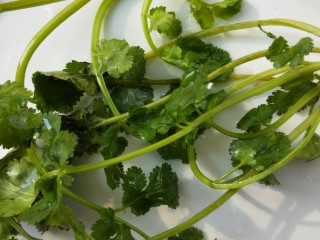 6、大吉大利香辣口水鸡,香菜洗净。