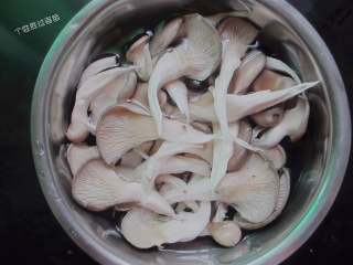 2、炸平菇,平菇买来，盐水泡半小时，然后用清水缓缓冲洗，处理干净的平菇用手撕成条