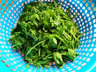 8、虫草花芝麻菜拌鸡丝,这期间我们来处理芝麻菜，用饮用水洗净，然后切碎