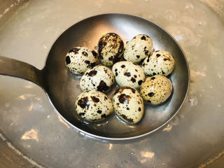 10、香菇焖鸡,鹌鹑蛋洗净后下锅直接水煮7-8分钟就熟透了。