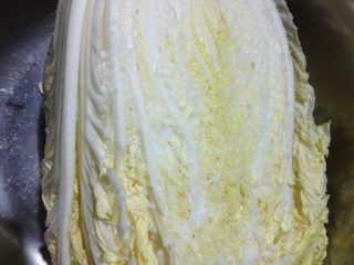 1、辣白菜,如图取半个白菜，把每一片菜叶，均匀的抹上盐