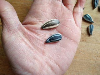 46、葵花籽酥―《舌尖上的中国3》中同款,尽量做到花纹不一致才惟妙惟肖。