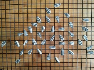 50、葵花籽酥―《舌尖上的中国3》中同款,将焙好的葵花籽酥晾凉。
