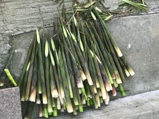 1、只有在春天才能品尝到的-野笋烧肉,山上挖的野笋