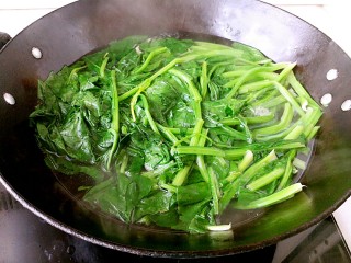 4、菠菜鸡蛋卷,菠菜放入烧开水的锅里,放一小捏盐,滴几滴植物油,烫煮1分钟即可捞出控水,挤干里面的水