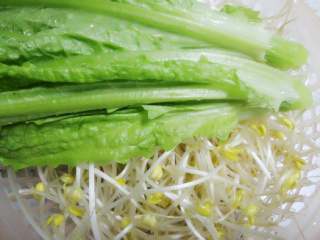 2、水煮牛肉,黄豆芽洗净,莴笋尖(莴笋除去下面莴笋部分)洗净。