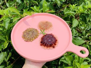 20、钵仔糕,装饰一下，放冰箱冷藏更好吃！