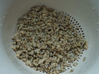 2、香炒薄壳肉,薄壳肉洗净，放在网筛里洗