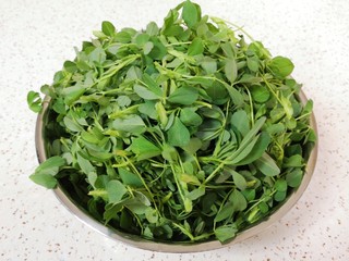 1、蒸苜蓿菜饼,看一下这个就是苜蓿菜，也有地方叫“草头”。将苜蓿菜择好。