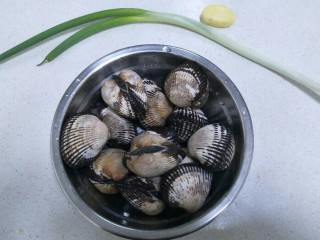 1、水煮毛蚬子,准备食材:毛蚬子600克，葱一棵，姜一小块。