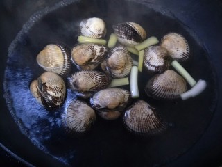 7、水煮毛蚬子,水烧开后放入清洗干净的毛蚬子大火煮。