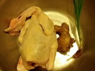 1、白切鸡,从市场买回来一只鸡，姜和葱。