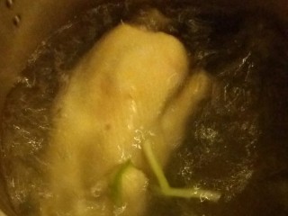 8、白切鸡,把整个鸡放进锅里。