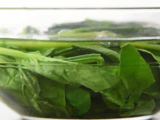 2、菠菜这样做开胃下酒，又不失营养,捞起后冷水浸泡
