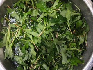 1、凉拌马兰香干,马兰，摘取老叶，清洗干净