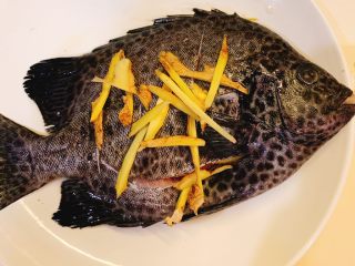 2、清蒸斑石鲷,腮开肚去除内脏洗净，用厨房纸吸干一下鱼身上水分，再给鱼划几刀，把切好的姜片放进鱼肚里，鱼身放姜丝，淋上适量料酒