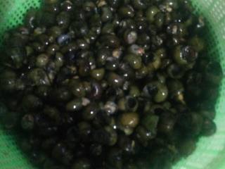 1、香辣螺狮,螺狮洗净青苔，剪掉尾部备用