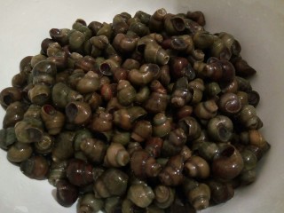 1、黑酱油#香辣螺蛳#,买回来的螺蛳用清水冲洗干净