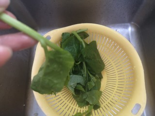 3、蒜泥木耳菜,把叶或嫩根部位保留