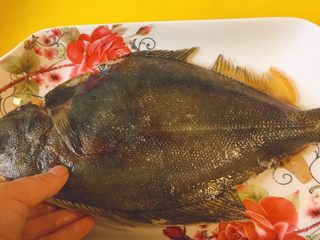 8、蒸系列★清蒸鲽鱼「经典粤式蒸法」,把腌制好的鱼，放上去。