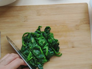 7、海米菠菜拌粉丝,将投凉后的菠菜攥干水分切成小段。