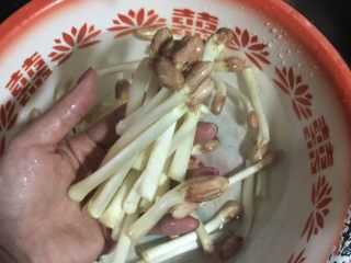 2、蚝油淋花生芽,花生芽用盐水泡一下，再用流动的水清洗干净，沥干水分
