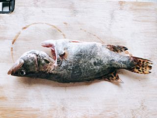 1、年年有余之糖醋鱼-年夜饭,买来一只活得桂花鱼(桂花鱼刺少肉嫩,活的鱼更好吃,肉嫩不腥),杀好洗净。