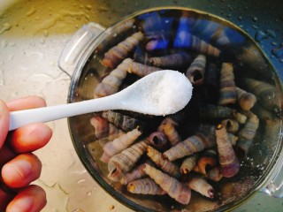 2、清明的应景佐酒小菜--香辣钉螺,加入少量盐吐沙，中途要换2到3次水。