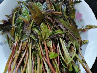 3、凉拌香椿,将香椿清洗干净