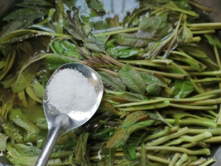 5、凉拌香椿,再加入一勺盐