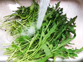 7、莴笋黄瓜芝麻菜,芝麻菜用饮用水洗净（我这里用的是温水，因为我家水龙头可以出热水）