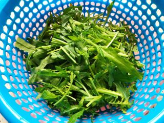 8、莴笋黄瓜芝麻菜,然后切碎，控干水分