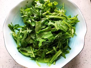 10、莴笋黄瓜芝麻菜,加入芝麻菜