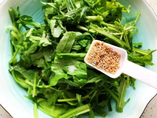 12、莴笋黄瓜芝麻菜,加一小勺鸡精